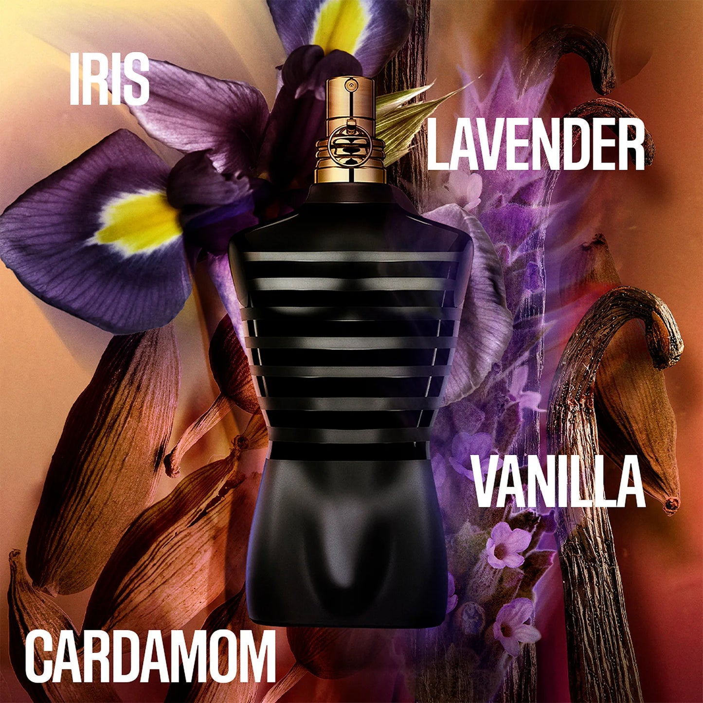 Le Male Eau De Parfum