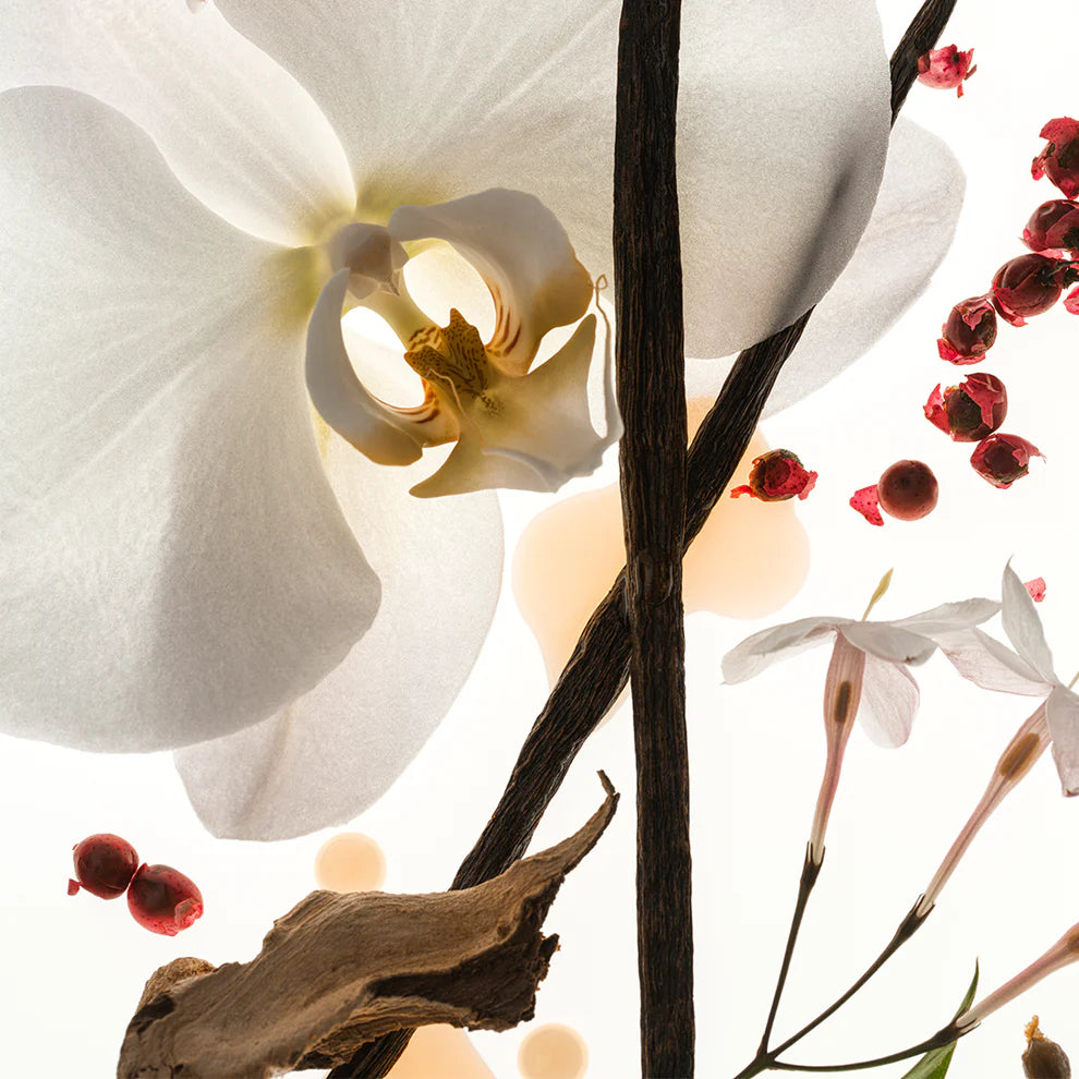 Vanilla Skin Eau De Parfum