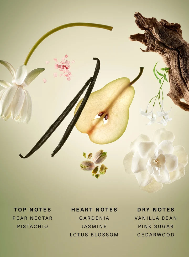 Beginnings Eau De Parfum